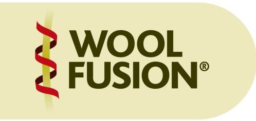 Bridgedale Wool Fusion